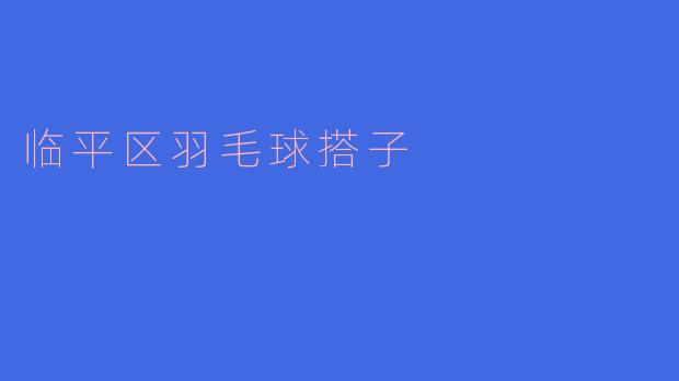 临平区羽毛球搭子