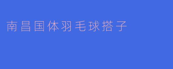 南昌国体羽毛球搭子