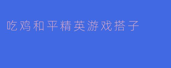 吃鸡和平精英游戏搭子
