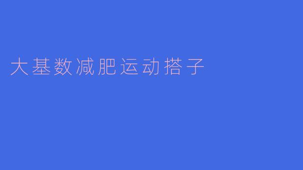 大基数减肥运动搭子