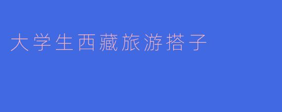 大学生西藏旅游搭子