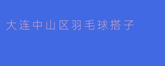 大连中山区羽毛球搭子