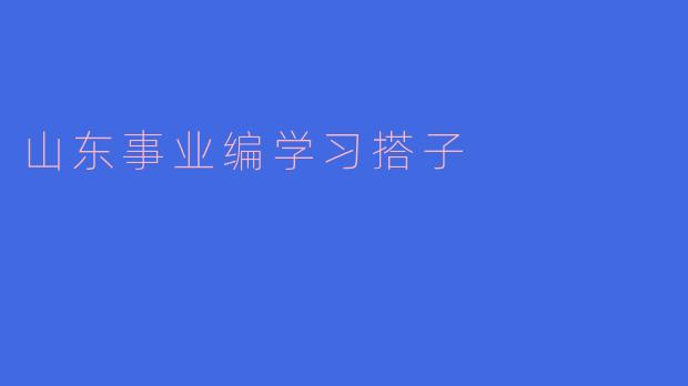 山东事业编学习搭子