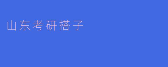 山东考研搭子