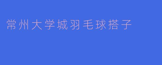 常州大学城羽毛球搭子