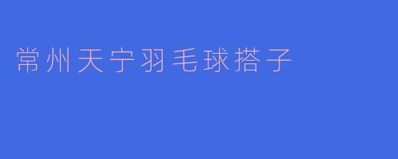 常州天宁羽毛球搭子