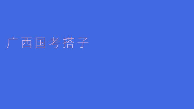 广西国考搭子