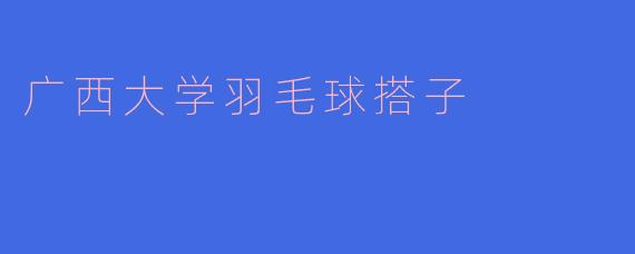 广西大学羽毛球搭子