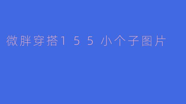 微胖穿搭155小个子图片