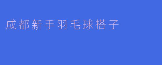 成都新手羽毛球搭子
