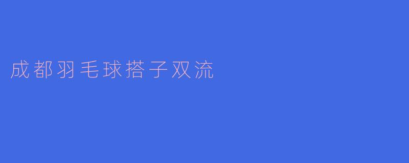 成都羽毛球搭子双流