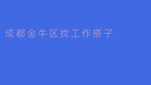 成都金牛区找工作搭子