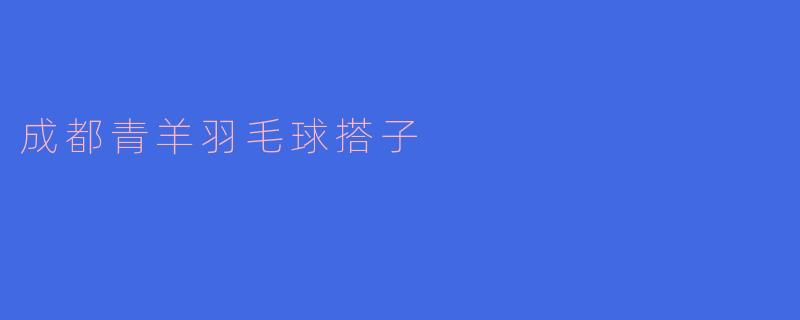 成都青羊羽毛球搭子