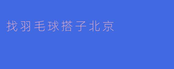 找羽毛球搭子北京