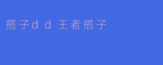搭子dd王者搭子