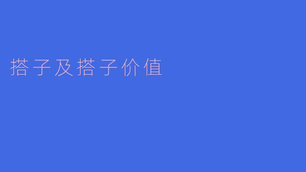 搭子及搭子价值