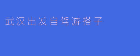 武汉出发自驾游搭子