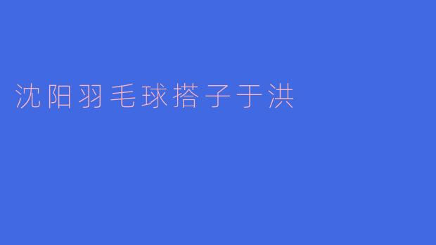 沈阳羽毛球搭子于洪