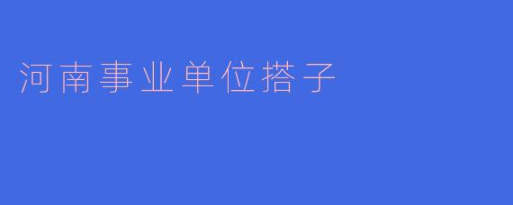 河南事业单位搭子