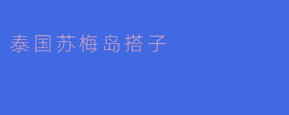泰国苏梅岛搭子
