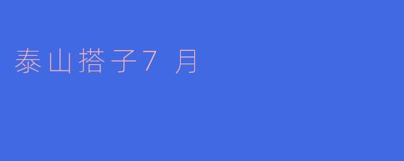 泰山搭子7月