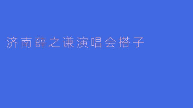济南薛之谦演唱会搭子