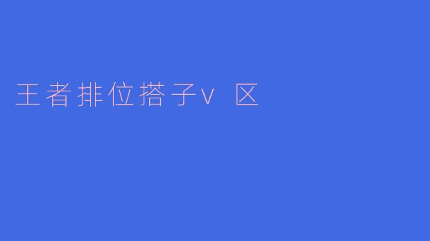 王者排位搭子v区
