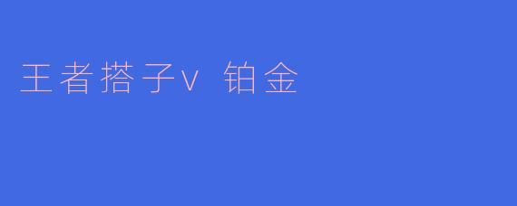王者搭子v铂金