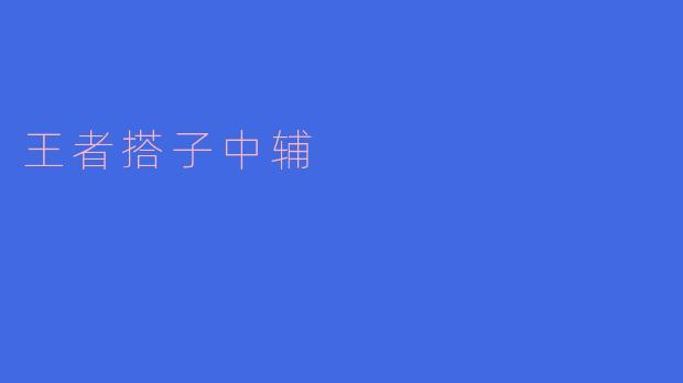 王者搭子中辅