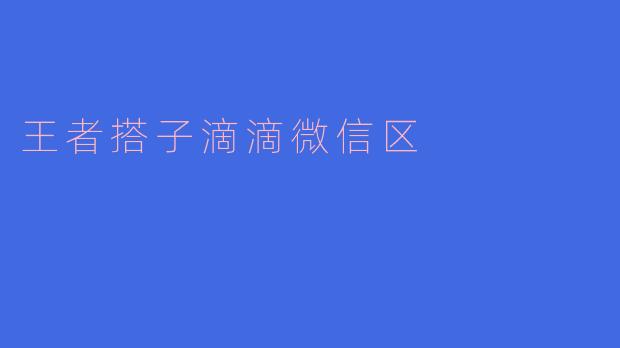 王者搭子滴滴微信区