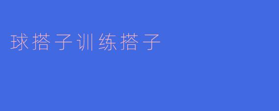球搭子训练搭子