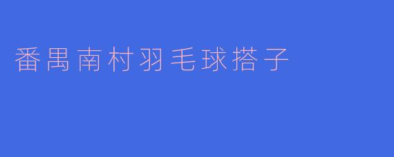 番禺南村羽毛球搭子