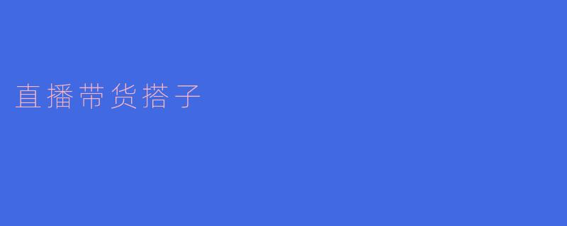 直播带货搭子