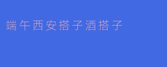 端午西安搭子酒搭子