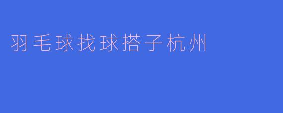 羽毛球找球搭子杭州