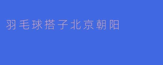 羽毛球搭子北京朝阳