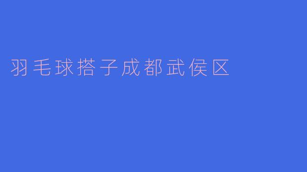 羽毛球搭子成都武侯区