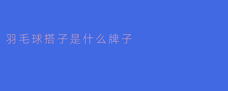 羽毛球搭子是什么牌子