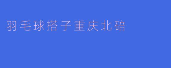 羽毛球搭子重庆北碚
