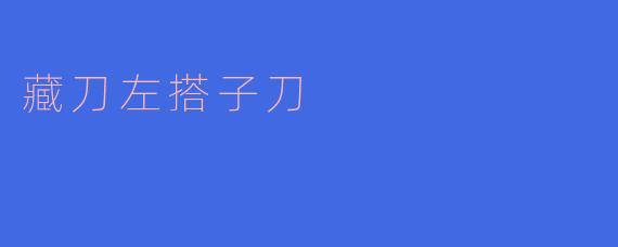 藏刀左搭子刀