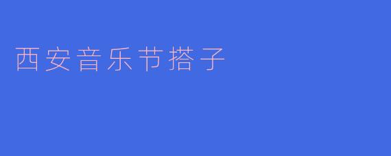 西安音乐节搭子