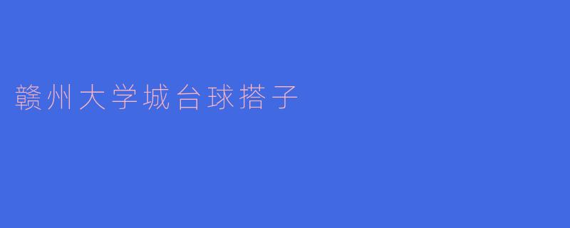 赣州大学城台球搭子