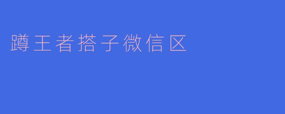 蹲王者搭子微信区