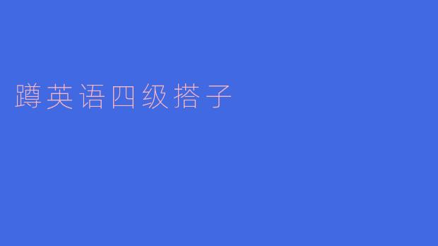 《寻找英语四级搭子：一起备考，互相督促，冲刺高分！》