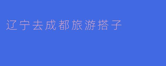 辽宁去成都旅游搭子
