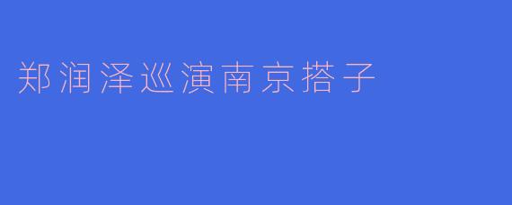 郑润泽巡演南京搭子