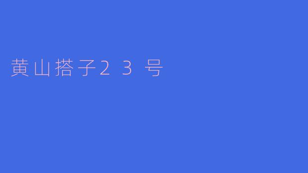 黄山搭子23号