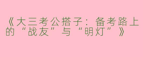 《大三考公搭子：备考路上的“战友”与“明灯”》