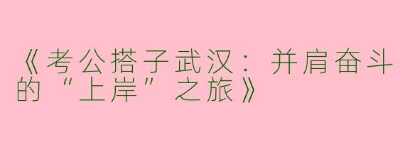 《考公搭子武汉：并肩奋斗的“上岸”之旅》