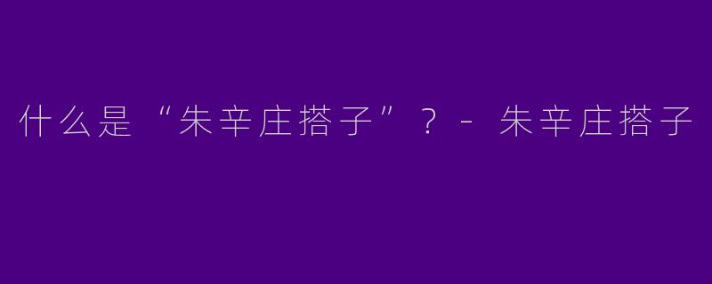 什么是“朱辛庄搭子”？-朱辛庄搭子